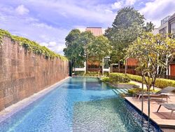 Holland Grove Road (D10), Terrace #621743001